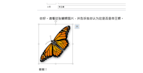 outlook企業(yè)郵箱